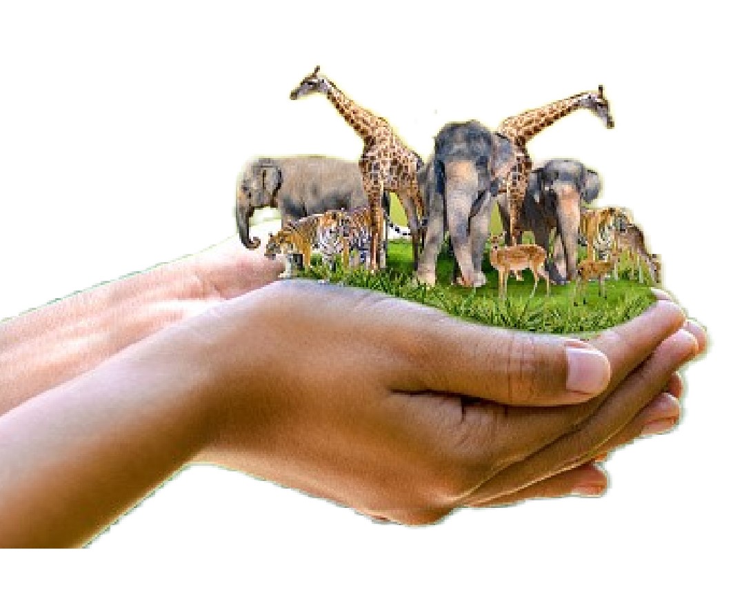 Two hands carrying some earth and different wild animals representing environmental conservation.