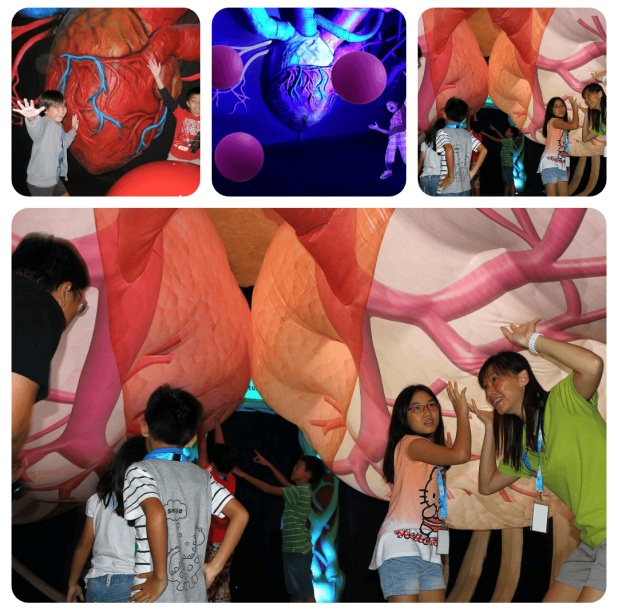 A collage of the heart with children, mother and father exploring the heart shaped tent.